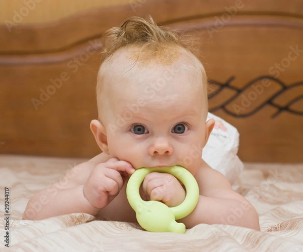 Obraz Baby gnaw green latex teether