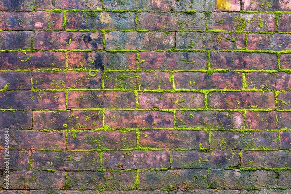 Fototapeta old brick wall of red bricks and mossy pattern, texture
