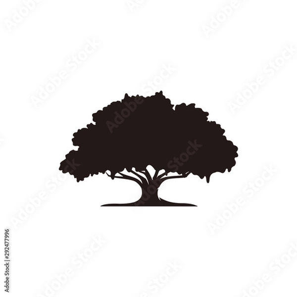 Fototapeta Oak tree icon vector