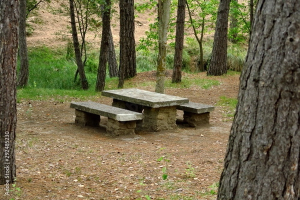 Fototapeta Tables et bancs de pique-nique en pierre dans la forêt.