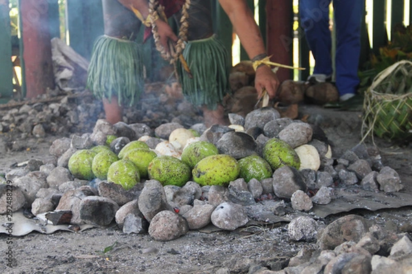 Fototapeta Breadfruit is a very large evergreen tree found in Samoa. This is a subsistence food in line with other tropical staples such as rice and taro. Demonstration of breadfruit cooking at Cultural village.