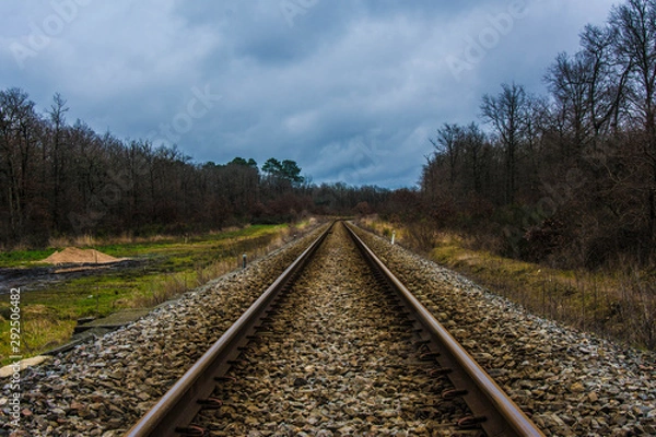 Fototapeta Straight railway in a forest in a cloudy day
