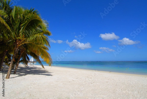 Obraz Sous les tropiques