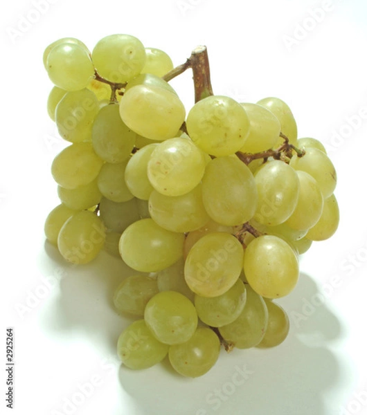 Obraz trauben