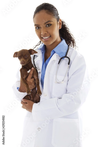 Obraz Veterinarian