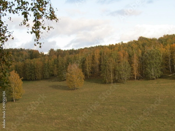 Obraz landscape