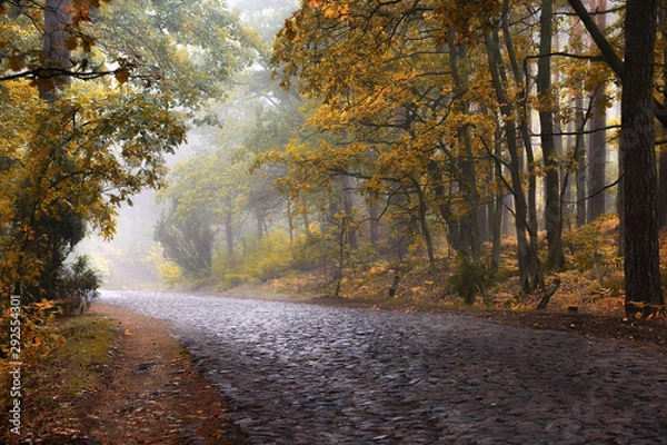 Obraz Droga palmirska