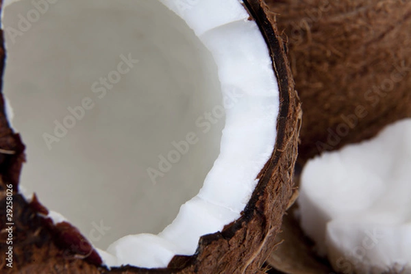 Obraz Kokosnuss close-up