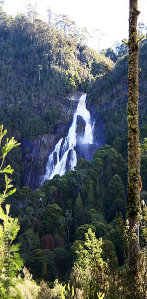 Fototapeta View up the valley to St. Columbus falls. Tasmania.