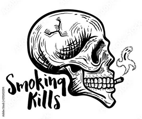 Fototapeta Skull smoking. with ghost smoke. Vector Isolated. Monochrome illustration of skull - vector