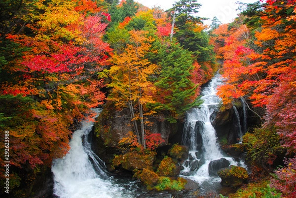 Obraz 竜頭の滝（日本）と色鮮やかな紅葉