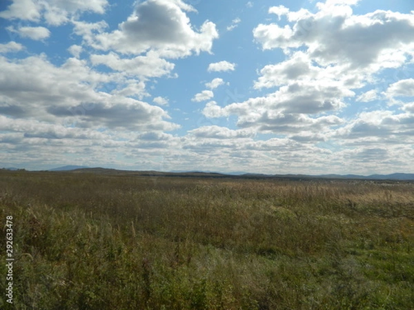 Obraz  sky over the field