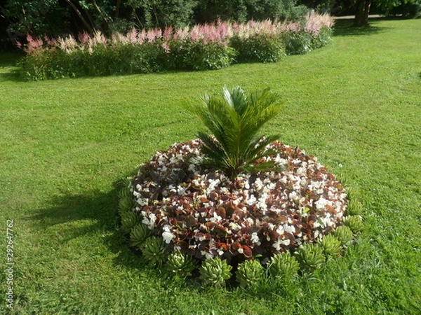 Obraz  beautiful flowerbed