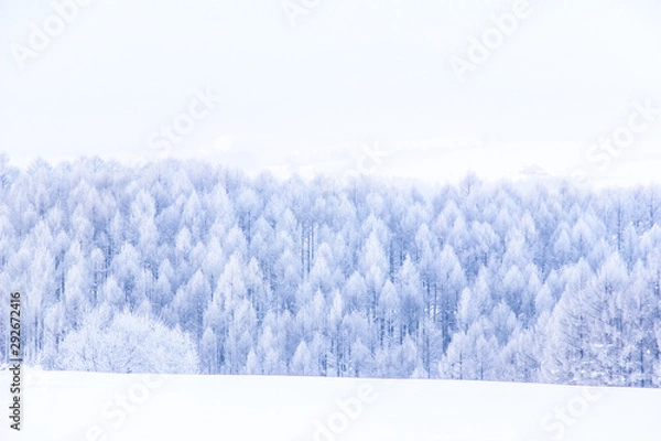 Obraz 北海道の冬景色