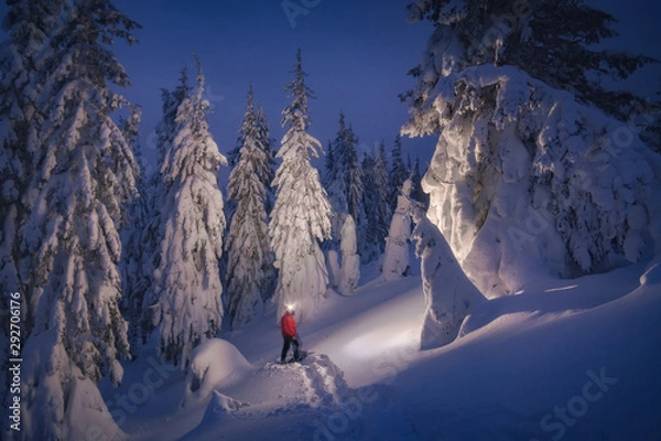 Fototapeta Hiker with flashlight in a winter forest