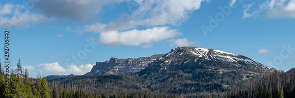 Obraz Plateau in the Bridger-Teton National Forest