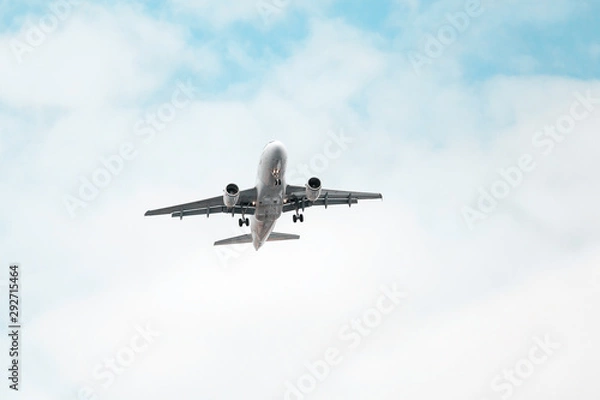 Obraz White Airplane landing, bottom view
