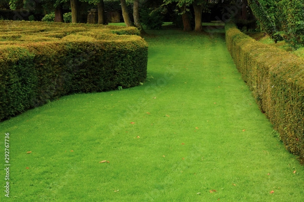 Fototapeta path in the garden