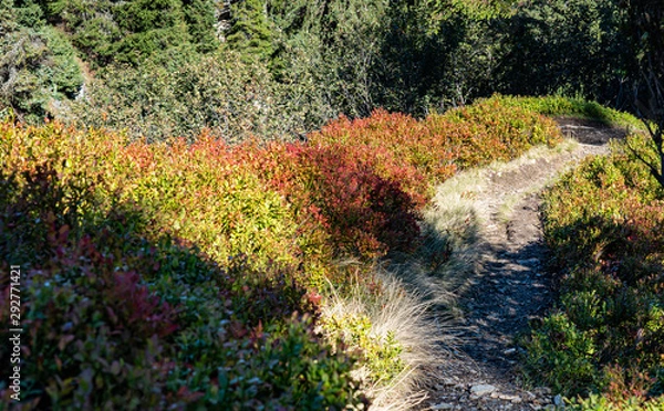 Obraz Herbst im Ennstal