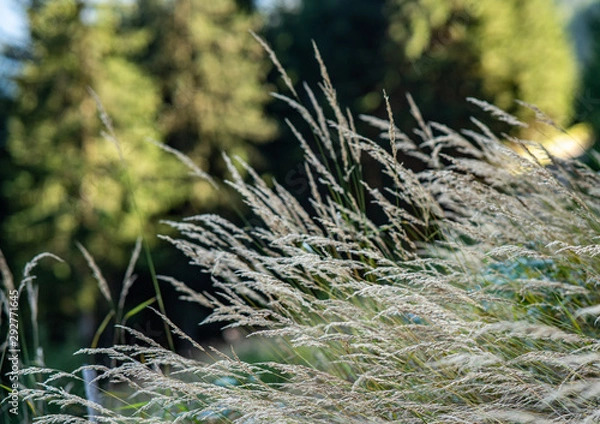 Obraz Herbst im Ennstal