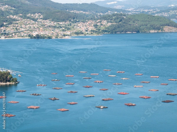 Fototapeta mussels bats in aerial view of the rias baixas as it passes through redondela