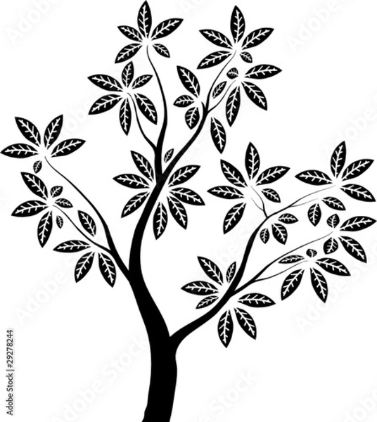 Fototapeta Силуэт дерева с листьями