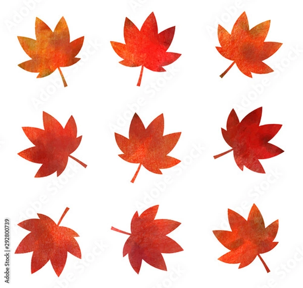 Fototapeta 秋 もみじアイコンセット （水彩色鉛筆）
