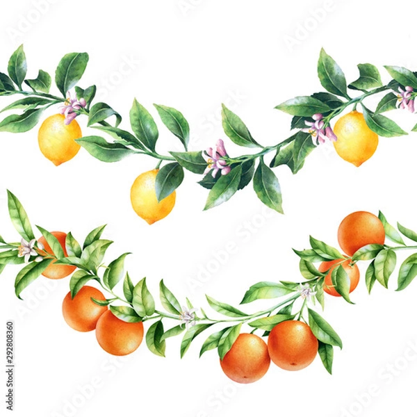 Fototapeta Orange and lemon tree branches borders. Isolated garland with citrus fruit. Package design.