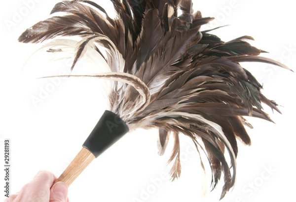 Obraz Cleaning with feather duster