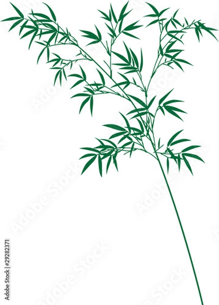 Obraz Bamboo