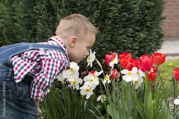 Obraz Smelling flowers