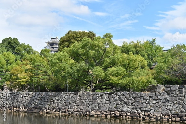 Fototapeta 岡山城