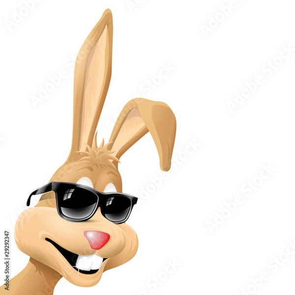 Obraz bunny with sunglasses
