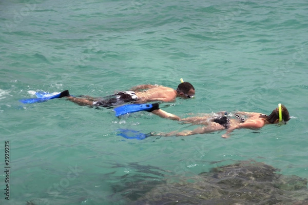 Obraz snorkeling 2