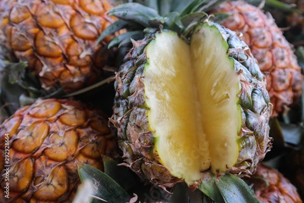 Obraz fresh and luscious pineapples