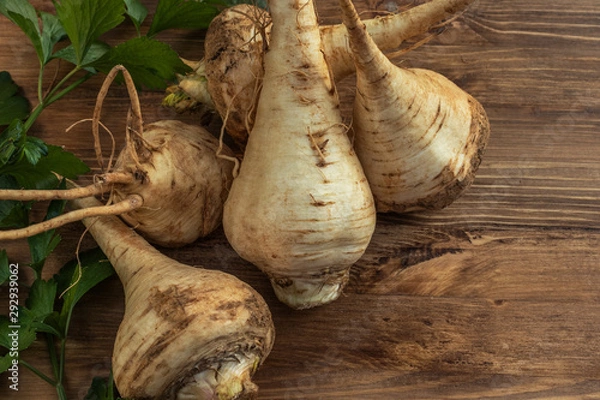 Fototapeta  Parsnip roots lie on a brown wooden surface, top view, close-up