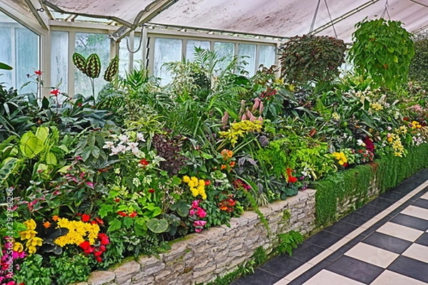 Obraz 熱帯植物園