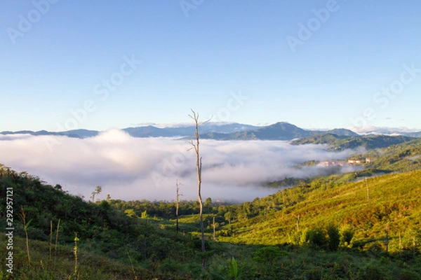 Fototapeta rolling cloud in the morning