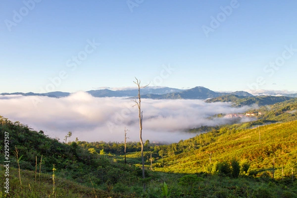 Fototapeta rolling cloud in the morning