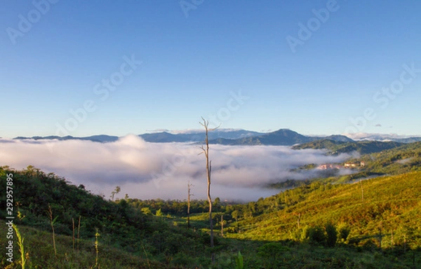 Fototapeta rolling cloud in the morning