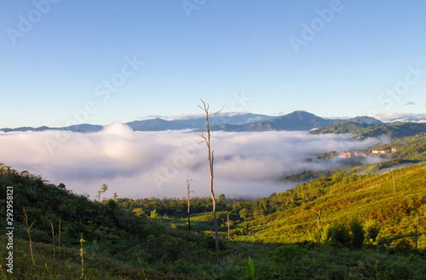 Fototapeta rolling cloud in the morning