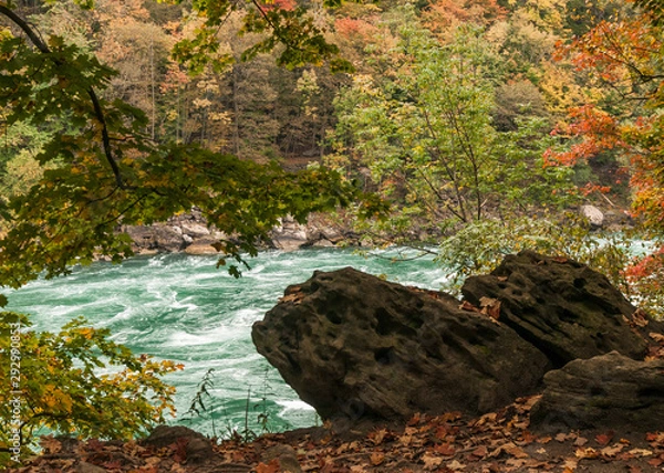 Obraz River and Autumn Forest