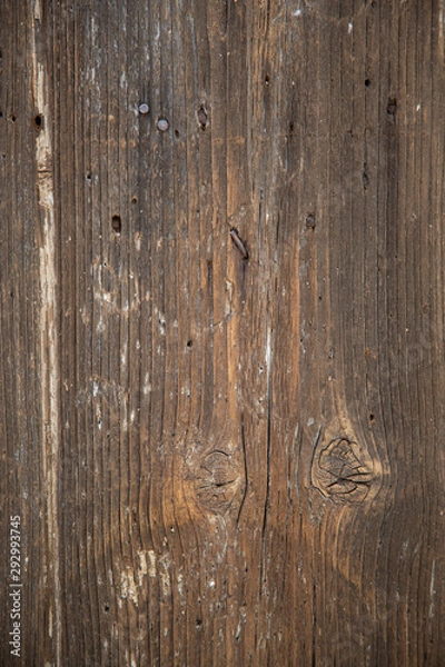 Obraz wood door texture