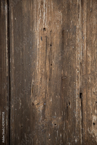 Obraz wood door texture