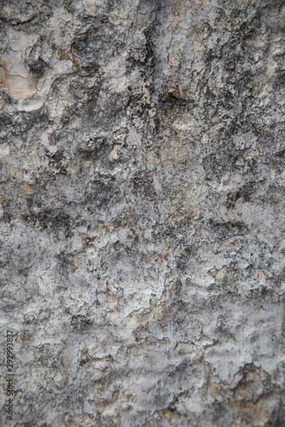 Obraz rugged stone texture