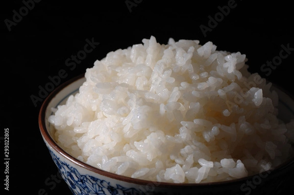 Fototapeta ごはん　茶碗　白米　米　ライス
