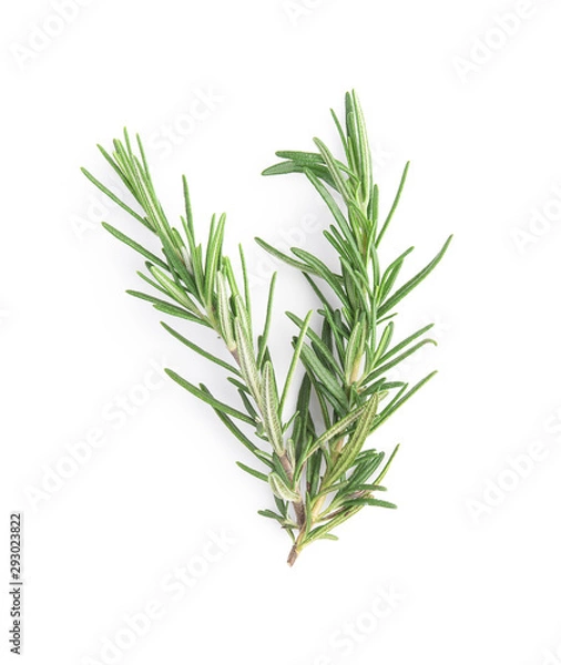 Fototapeta Rosemary isolated on white background, Top view.
