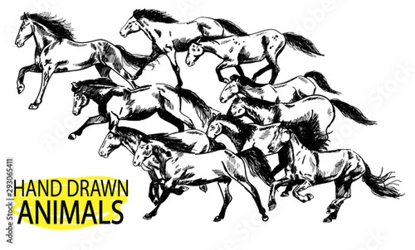 Fototapeta Running horse. A herd of mustangs. Drawing by hand in vintage style.