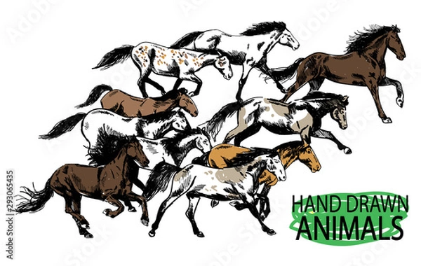 Fototapeta Running horse. A herd of mustangs. Drawing by hand in vintage style.