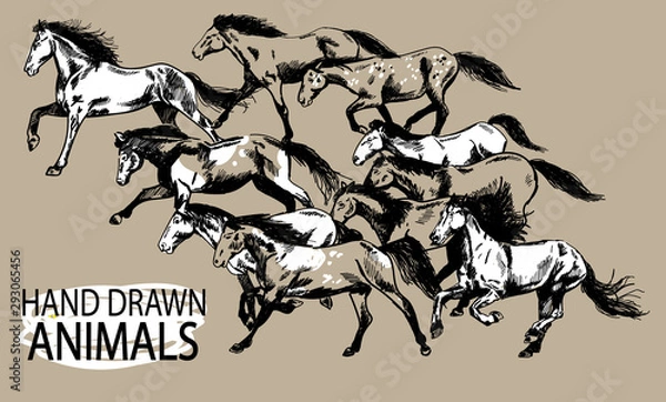 Fototapeta Running horse. A herd of mustangs. Drawing by hand in vintage style.